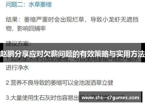 赵鹏分享应对欠薪问题的有效策略与实用方法 赵鹏分享应对欠薪问题的有效策略与实用方法
